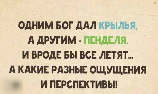 ОДНИМ БОГ дАЛ КРЫЛЬЯ А дРУГИМ ПЕНДЕЛЯ И ВРОДЕ БЫ ВСЕ ЛЕТЯТ А КАКИЕ РАЗНЫЕ ОЩУЩЕНИЯ И ПЕРСПЕКТИВЫ