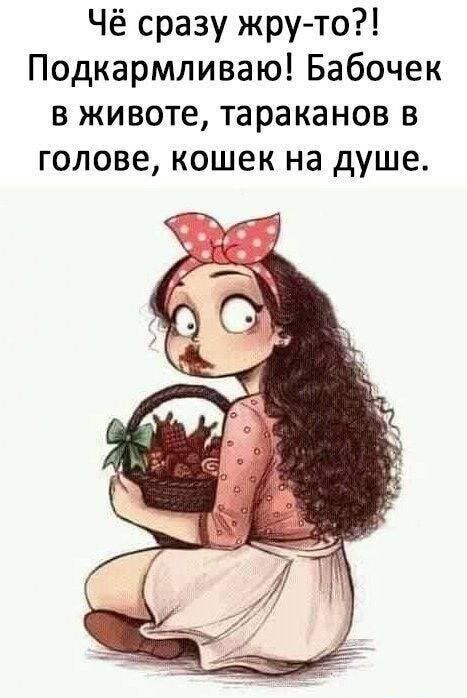 Чё сразу жруто Подкармливаю Бабочек в животе тараканов в голове кошек на душе