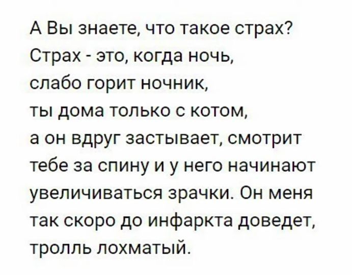 Шкее Ціна В 478073812 страх Страх это когда ночь слабо горит ночник ты дома только с котом а он вдруг застывает смотрит тебе за спину и у него начинают увеличиваться зрачки Он меня так скоро до инфаркта доведет тролль лохматый