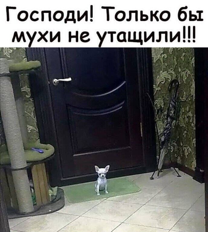 Господи Только бы И хи не тащили