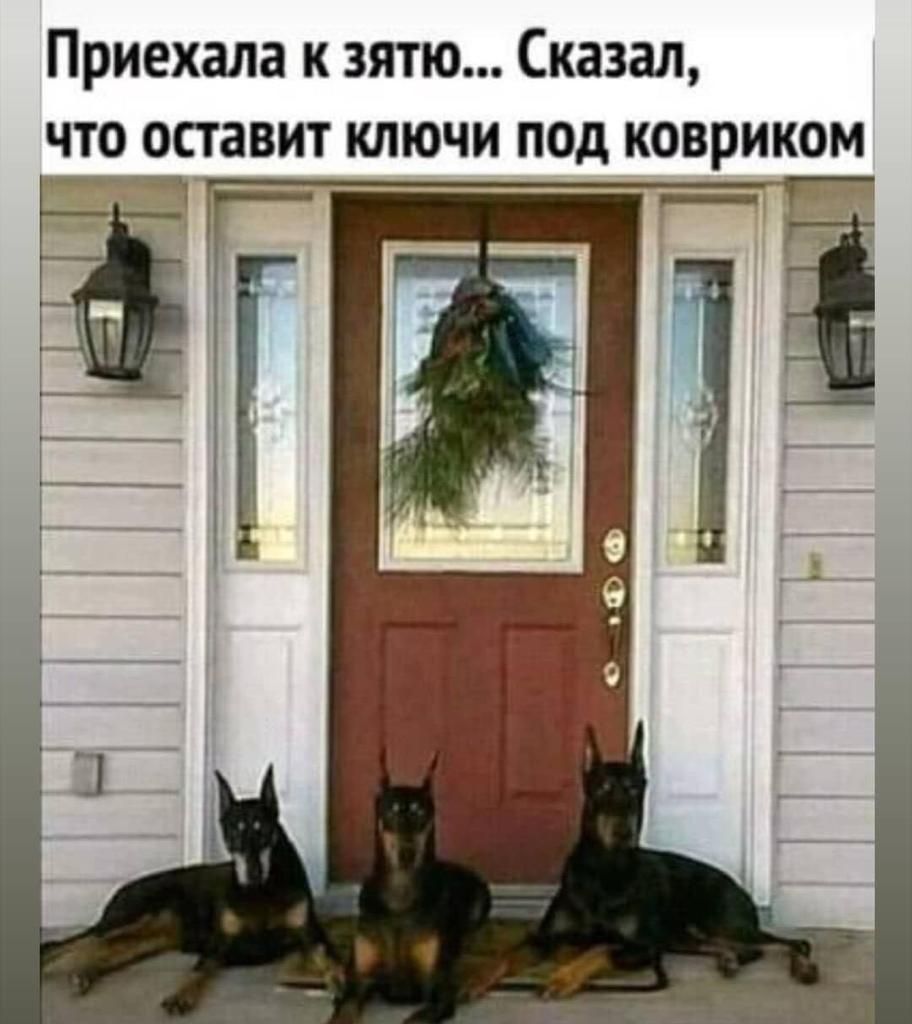 Приехала к зятю Сказал что оставит ключи под ковриком