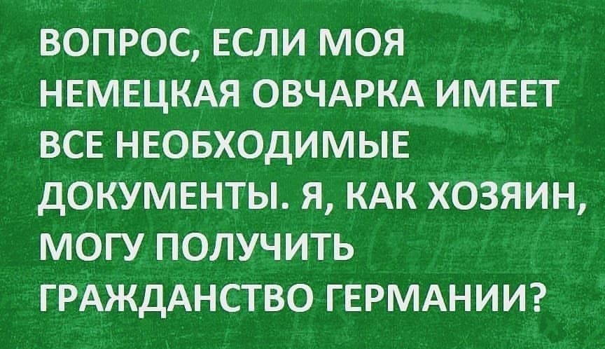 ВОПРОС ЕСЛИ МОЯ НЕМЕЦКАЯ ОВЧАРКА ИМЕЕТ ВСЕ НЕОБХОДИМЫЕ ДОКУМЕНТЫ Я КАК ХОЗЯИН МОГУ ПОЛУЧИТЬ ГРАЖДАНСТВО ГЕРМАНИИ