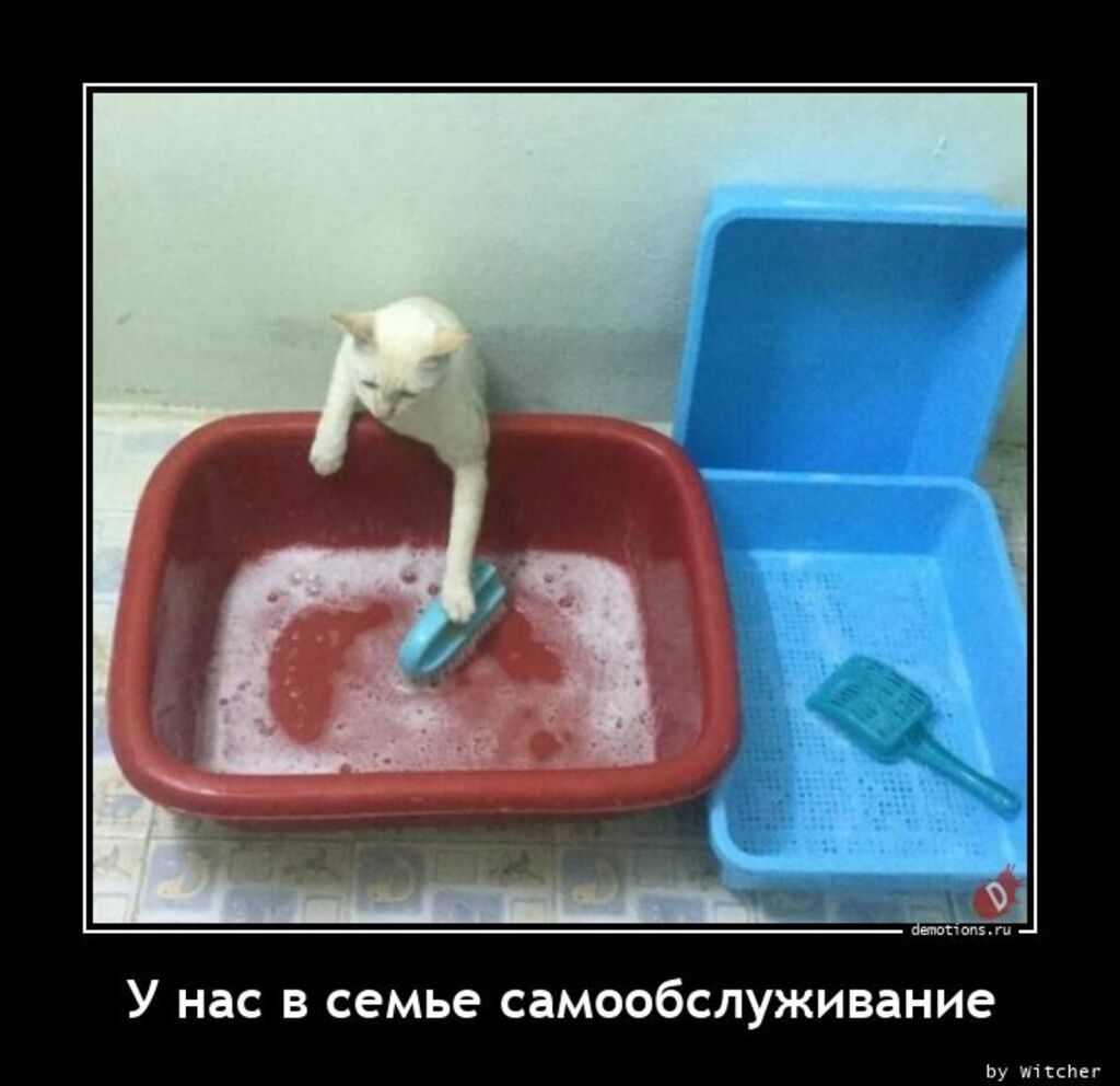 У нас в семье самообслуживание