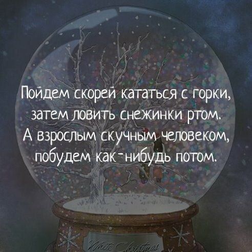 Пойдем скорей кататься с горки затем ловить снежинки ртом А взрослым скучным человеком побудем как нибудь поггом