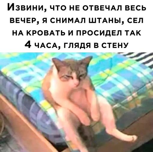 Извини ЧТО НЕ ОТВЕЧАЛ ВЕСЬ ВЕЧЕР Я СНИМАЛ ШТАНЫ СЕЛ НА КРОВАТЬ И ПРОСИДЕЛ ТАК 4 ЧАСА ГЛЯДЯ В СТЕНУ