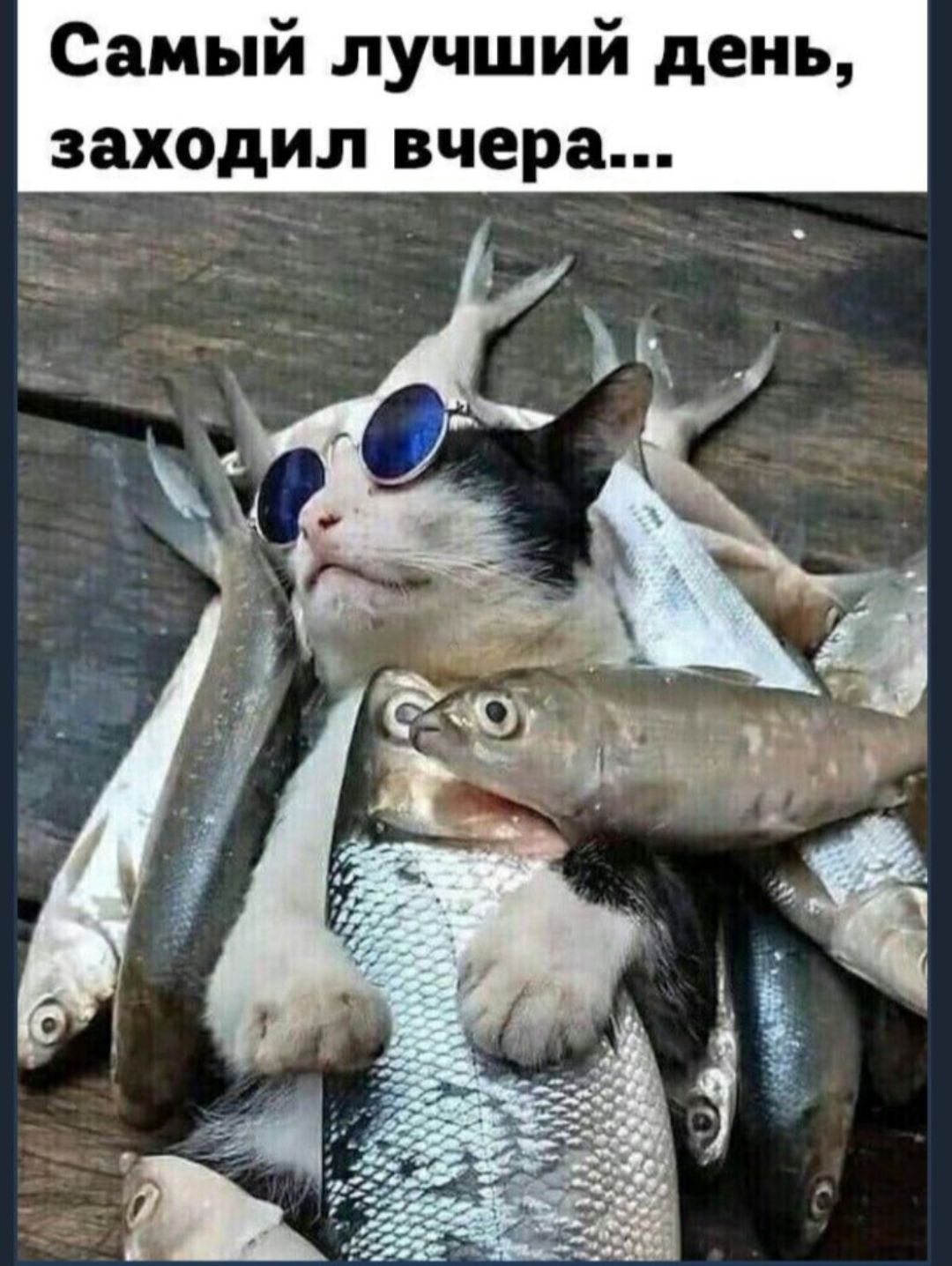 Самый лучший день, заходил вчера...