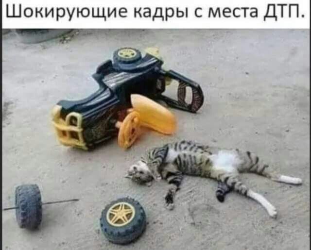 Шокирующие кадры с места ДТП
