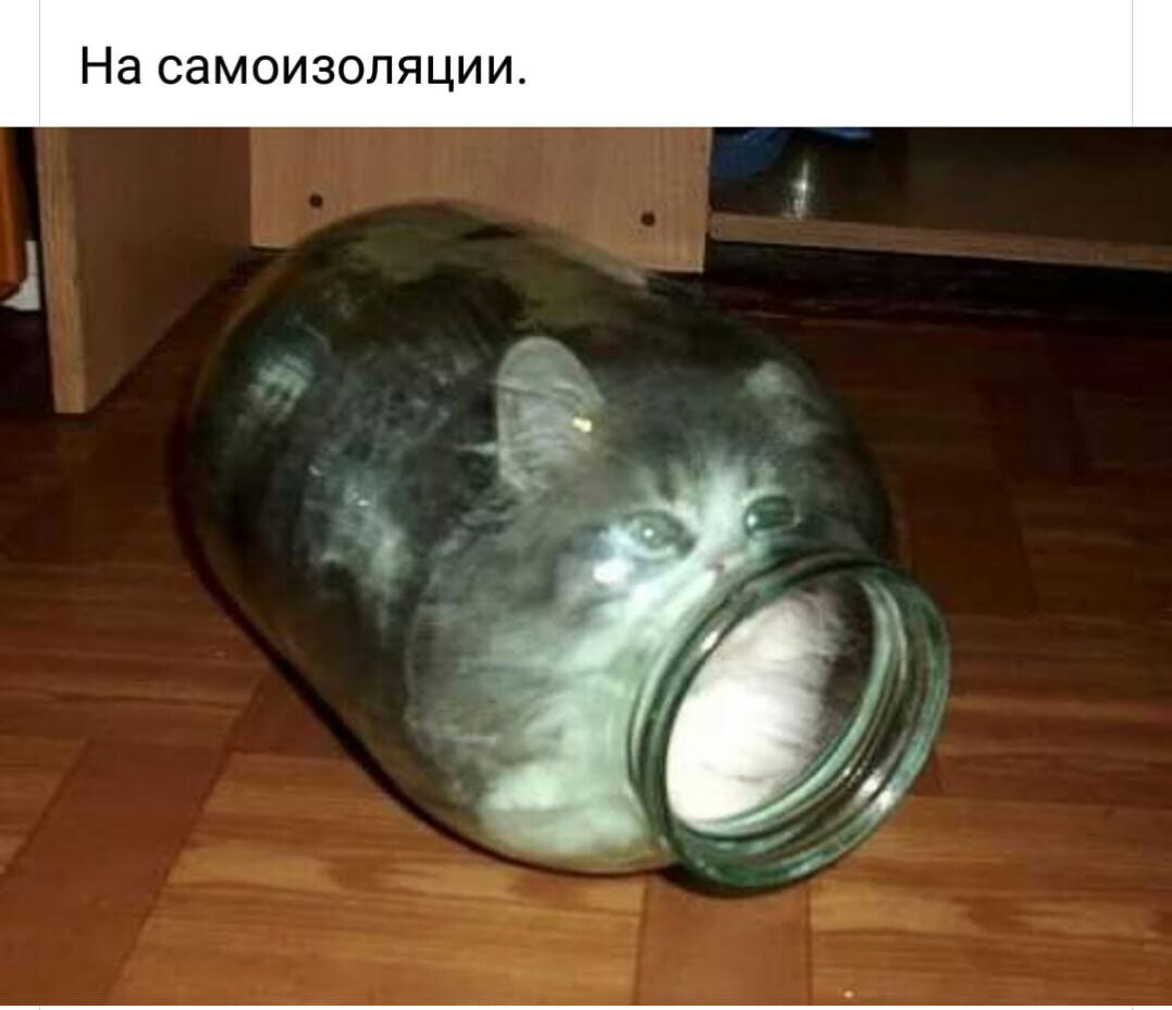 На СЗМОИЗОЛЯЦИИ