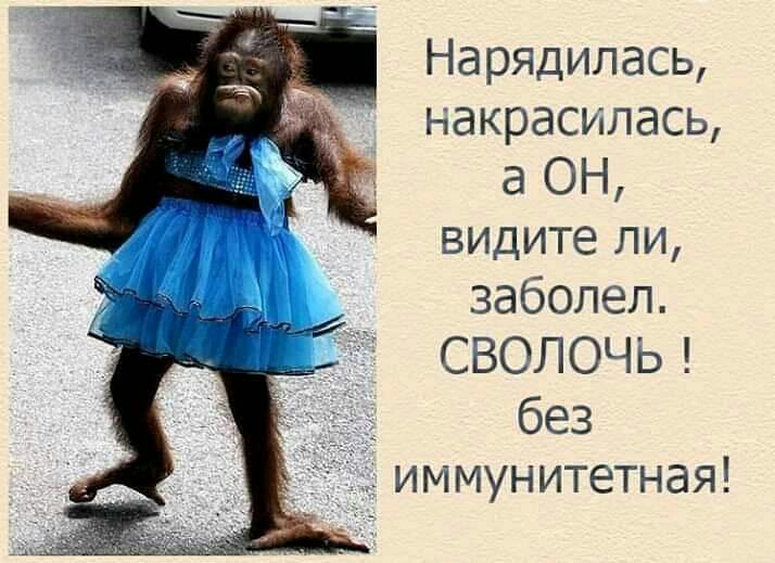 Нарядилась накрасилась а ОН видите ли заболел А СВОЛОЧЬ д _ без иммунитетная