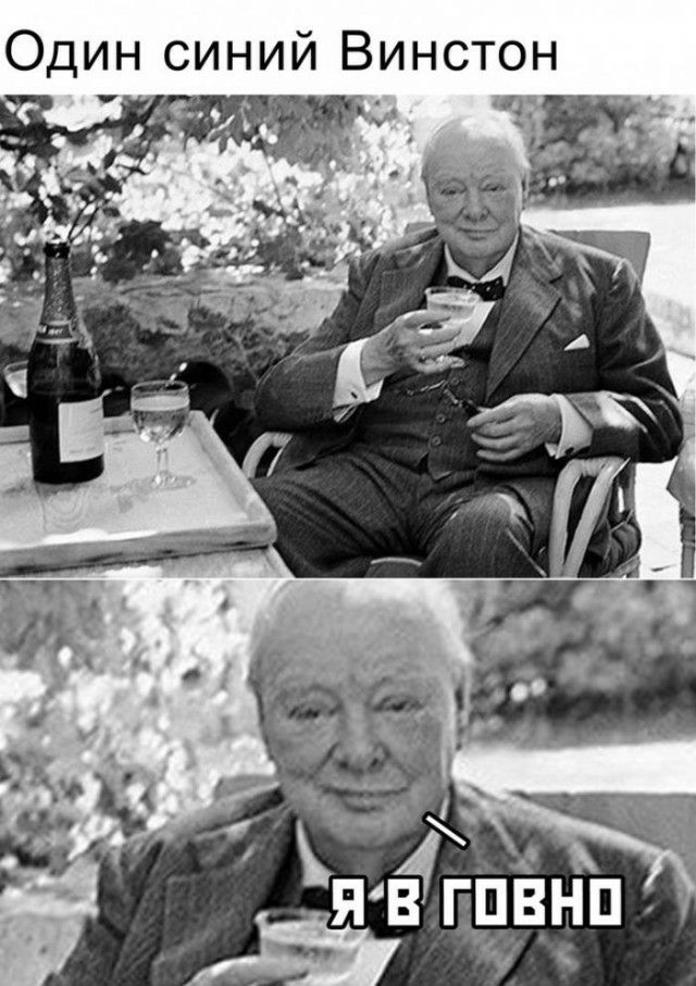 Один синий Винстон Ёгпвнп