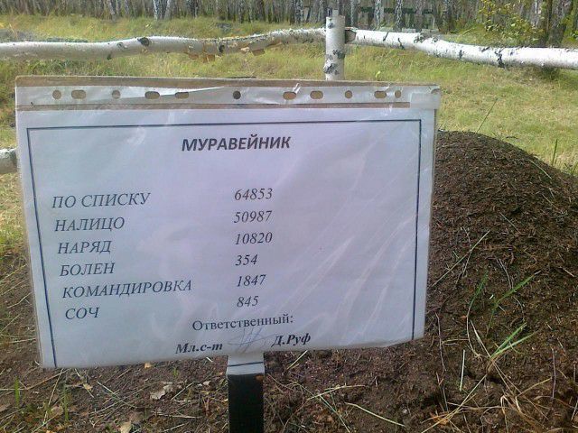 МУРАВЕЙНИК ПО СПИСКУ 648353 НАЛИЦО 5091 17 1 082 351 1847 845 Отстщвеішый НА РЯД Б 7511 КПМА НДИОШ