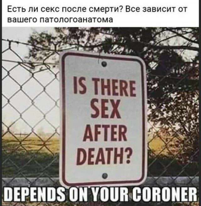 Есть ли секс после смерти Все зависит от вашего патопогоанатома _ _____ ПЕРНШЗ 0 ШПВчБПВППЕВ ам _ _