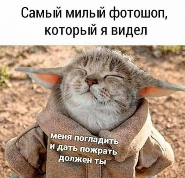 Самый милый фотошоп который я видел