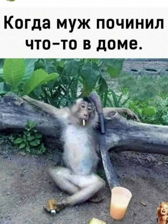 Когда муж починил чтото в доме