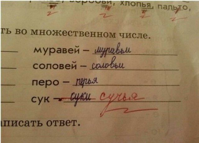 хпопёяд пати 2 Ь 1 1Ь ВО множественном ЧИСЛЕ _ муравей __ соловей _ перо шисать ответ