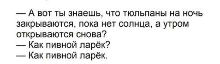 А вот ты знаешь что тюльпаны на ночь закрываются пока нет солнца а утром открываются снова Как пивной парёк Как пивной ларек