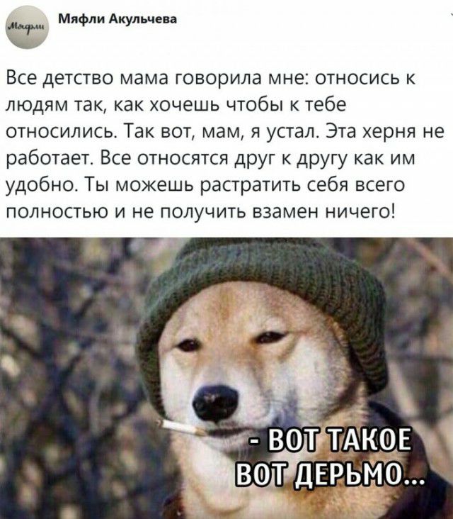 Мяфли Акульчева 1 Все детство мама говорила мне относись к людям так как хочешь чтобы к тебе относились Так вот мам я устал Эта херня не работает Все относятся друг к другу как им удобно Ты можешь растратить себя всего полностью и не получить взамен ничего