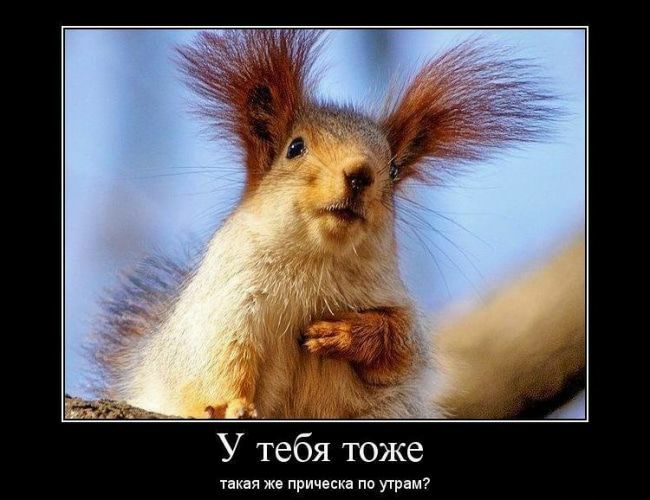 У тебя тоже тнкдя же прическа по утрам
