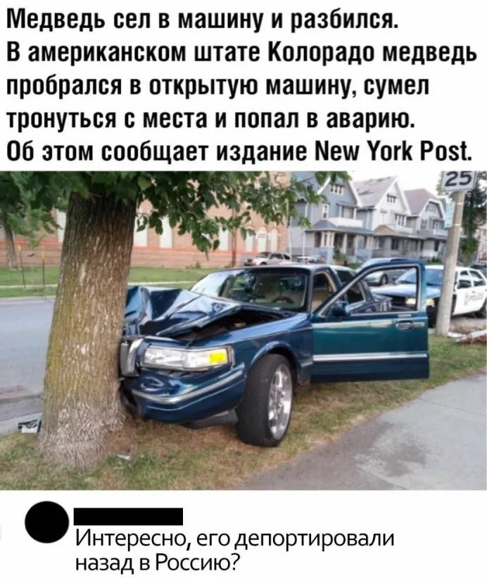 Медведь сел в машину и разбился В американском штате Колорадо медведь пробрался в открытую машину сумел тронуться места и попал в аварию Об этом сообщает издание Меш Уогк Розі 125 Интересно его депортировали назад в Россию