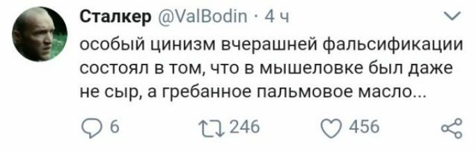 Огалкер УаіВосііл 4 ч и особый цинизм вчерашней фальсификации состоял в том что в мышеловке был даже не сыр а гребанное пальмовое масло 9 6 246 456