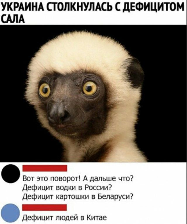 УКРАИНА СТОЛКНУЛАСЬ С дЕФИЦИТОМ АЛА Вот это поворот А дальше что Дефицит водки в России Дефицит картошки в Беларуси Дефицит людей в Китае