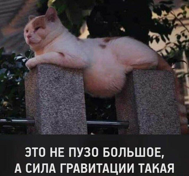 ЭТО НЕ ПУЗО БОЛЬШОЕ А СИЛА ГРАВИТАЦИИ ТАКАЯ