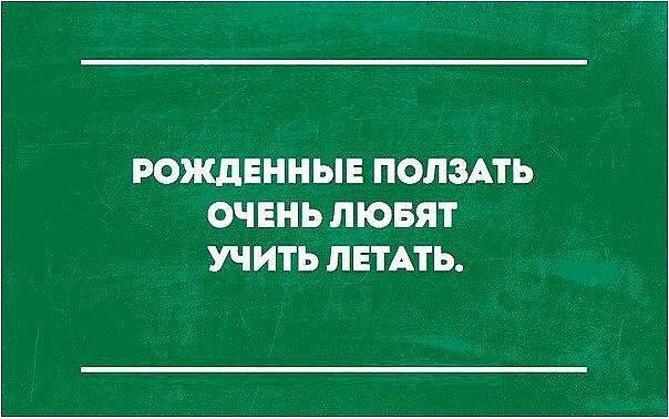 РОЖДЕННЫЕ ПОЛЗАТЬ ОЧЕНЬ ЛЮБЯТ УЧИТЬ ЛЕТАТЬ