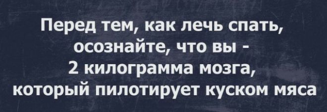 Перед тем как лечь спать осознайте что вы 2 килограмма мозга который пилотирует куском мяса