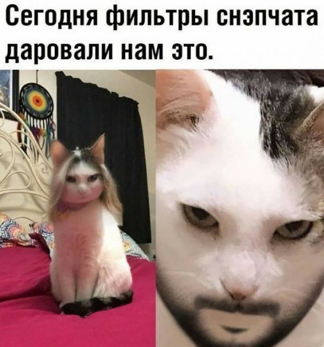 Сегодня фильтры снэпчата даровали нам это