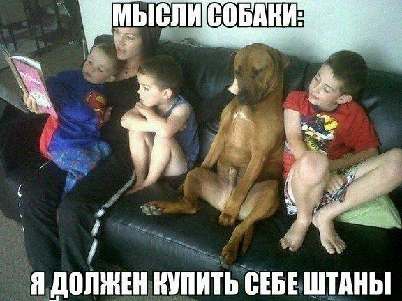 діШЖЕН ШШИТЬ ЁЕБЕ ШТАНЫ