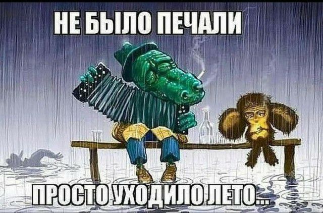 _ _