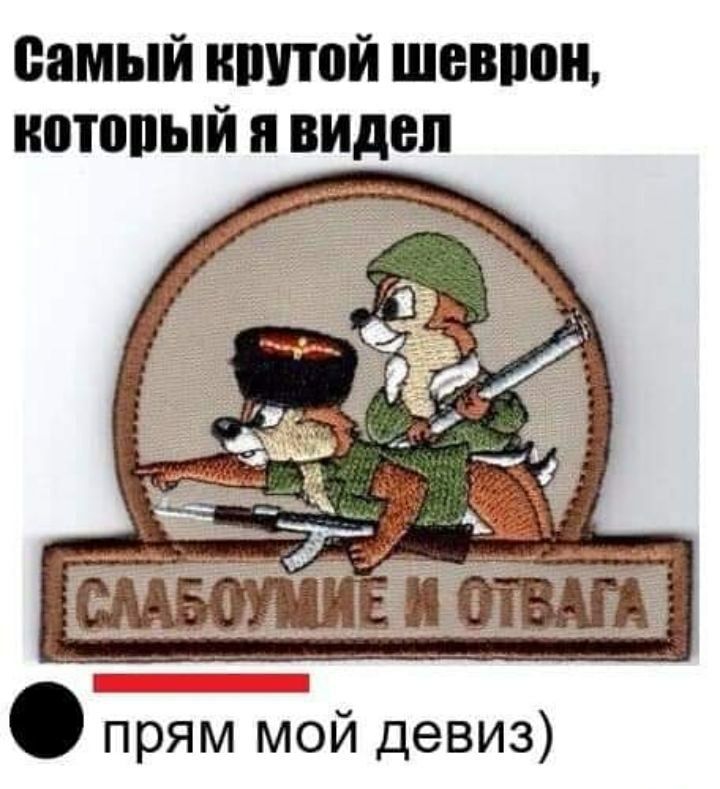 самый ншпой шеврон нотопый я видел прям мой девиз