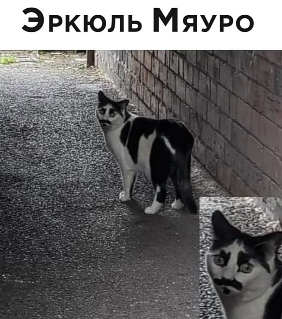 О Р У Я М Ь Л Ю К Р 3