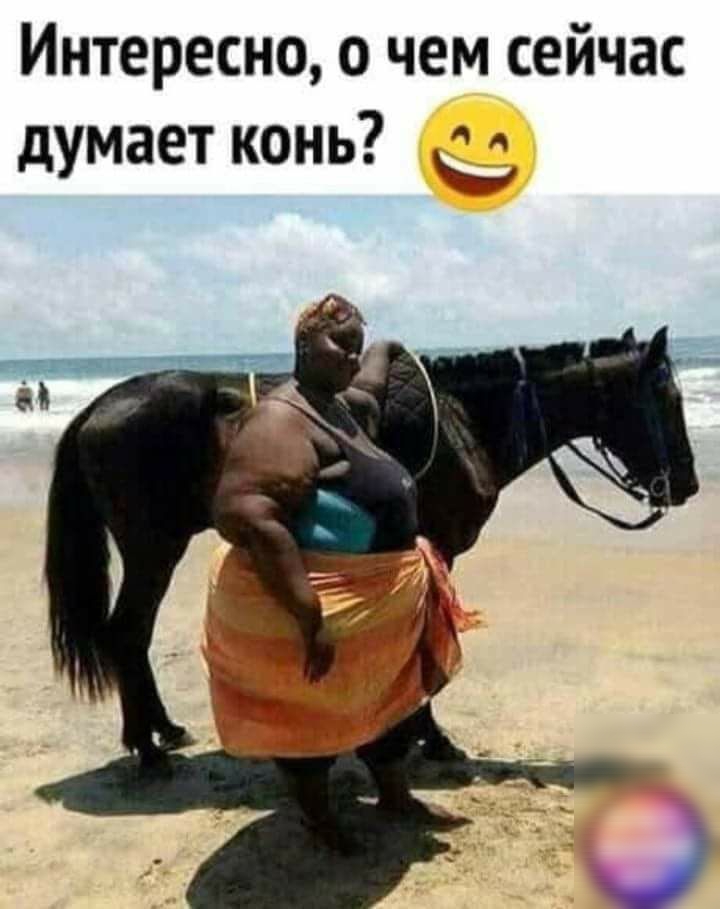 Интересно о чем сейчас думает конь