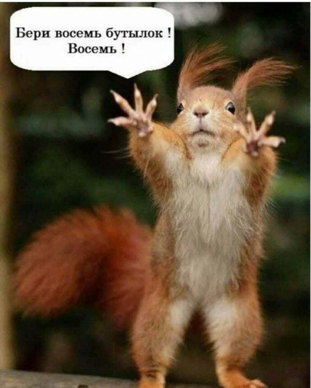 Берн восемь бутылок Восемь
