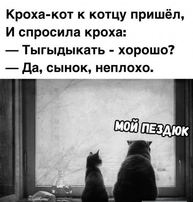Кроха кот к котцу пришёл И спросила кроха Тыгыдыкать хорошо Да сынок неплохо их