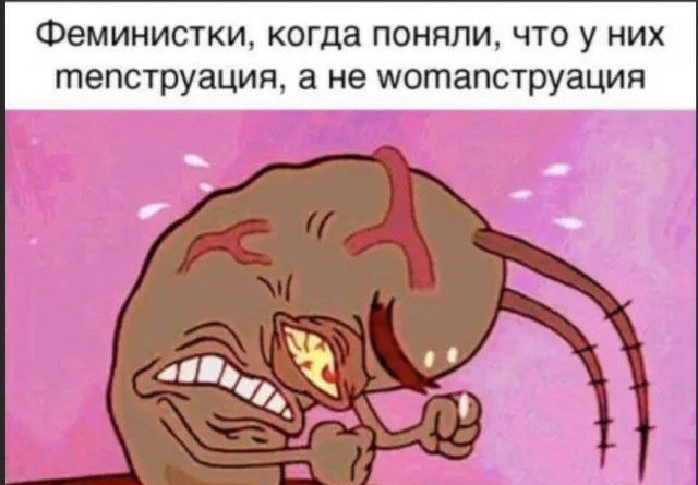 ФеМИНИСТКИ когда ПОНЯЛИ ЧТО у НИХ тепструация а не шотапструация