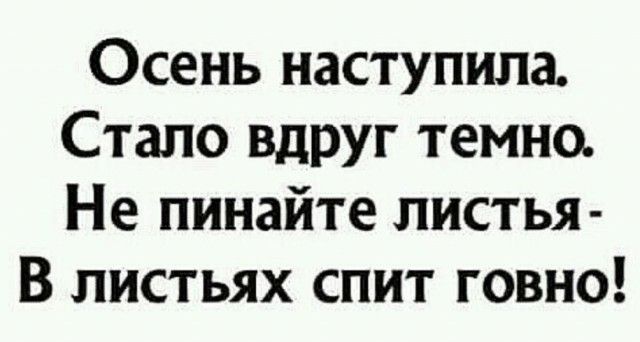Осень наступила Стало ВДРУг темно Не пинайте листья В листьях спит говно