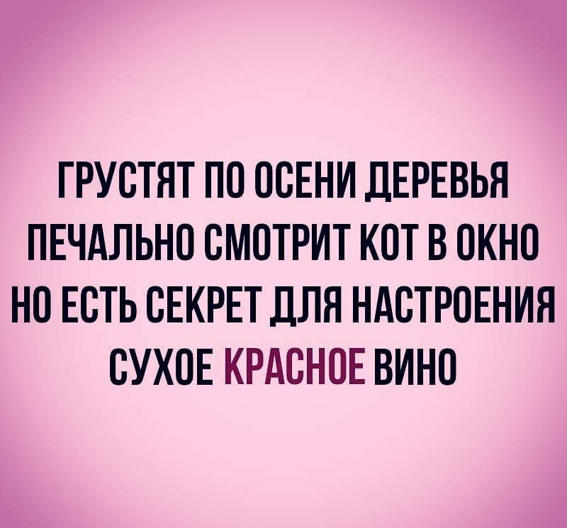 ГРУСТНТ ПО ОСЕНИ ДЕРЕВЬЯ ПЕЧАЛЬНО СМОТРИТ КОТ В ОКНО НО ЕСТЬ СЕКРЕТ ДЛЯ НАСТРОЕНИЯ СУХОЕ КРАСНОЕ ВИНО