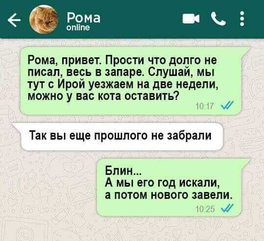 Рома привет Прости что долго не писал весь в запаре Слушай мы тут Ирой уезжаем на две недели МОЖНО У вас КОТЗ ОСТЗБИТЬ 17 Так вы еще прошлого не забрали Блин А мы его год искали а потом нового завели 25 м0