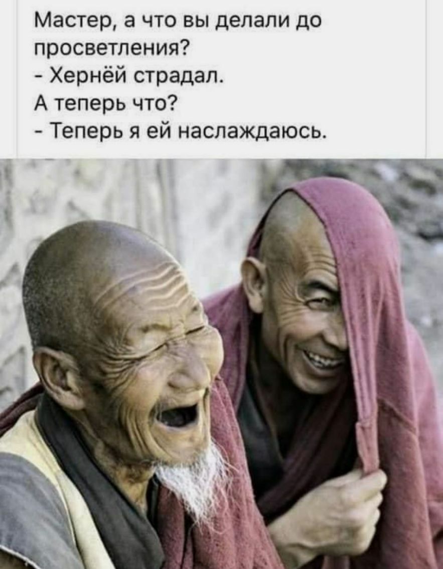 Мастер а что вы делали до просветления Хернёй страдал А теперь что Теперь я ей наслаждаюсь