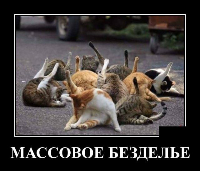МАССОВОЕ БЕЗДЕЛЬЕ