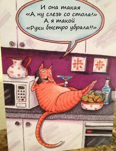 И она такая А ну Аеэи со стола А я такой Руки быстро убриа