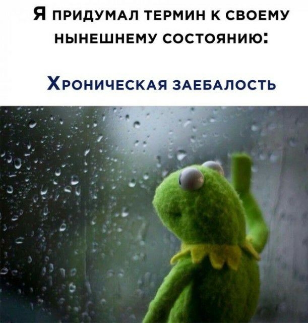 Я ПРИДУМАЛ ТЕРМИН К СВОЕМУ НЫНЕШНЕМУ СОСТОЯНИЮ ХРОНИЧЕСКАЯ ЗАЕБАЛОСТЬ