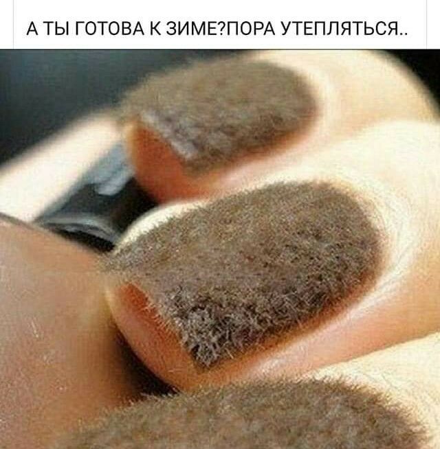 А ТЫ Г ВА К 3ИМЕП0РА УТЕПЛЯТЬСЯ