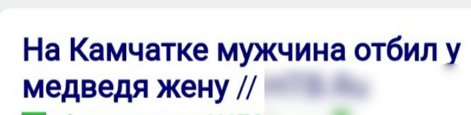 На Камчатке мужчина отбил у медведя жену