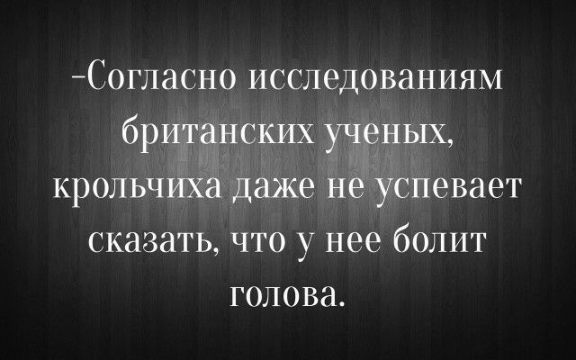 С0гласн0 исследованиям британских ученых крольчихи даже нё успевает сказать что у нее болит голова