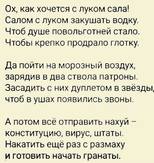 Ох как хочется с луком сапа Салом с луком закушать водку Чтоб душе повопьготней стало Чтобы крепко продрапо глотку Да пойти на морозный воздух зарядив в два ствола патроны Засадить с них дуплетом в звёзды чтоб в ушах появились звоны А потом всё отправить нахуй конституцию вирус штаты Накатить ещё раз с размаху _и готовить начать гранаты