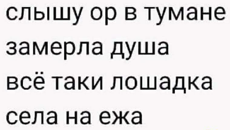 слышу ор в тумане замерла душа всё таки лошадка села на ежа