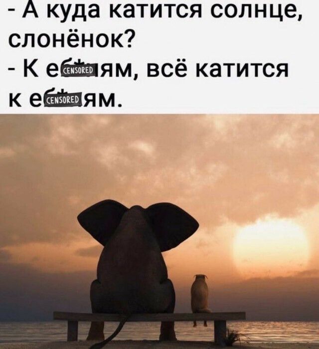 А куда катится солнце слонёнок К еям всё катится к еям